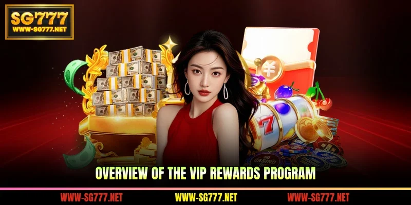 Overview of the VIP rewards program