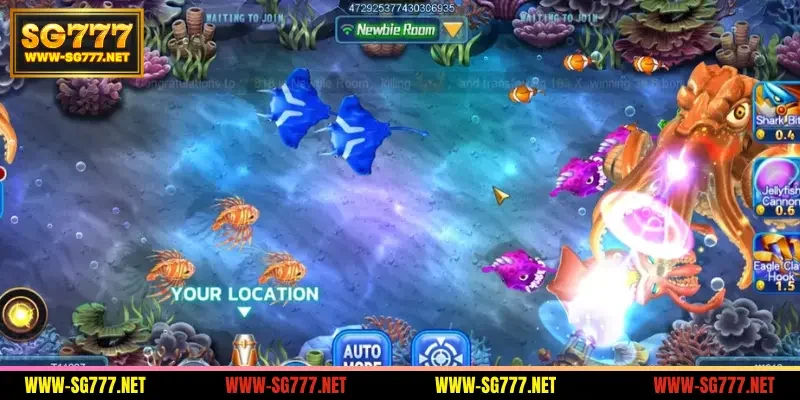 how-many-types-of-fish-guns